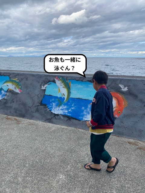 IMG_8443-fotor-2024101416463