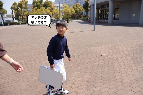 諦めずに隙間時間でお花見！