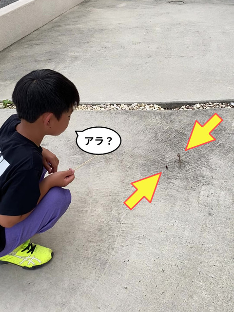 IMG_6303 - frame at 0m18s-fotor-20240606213258