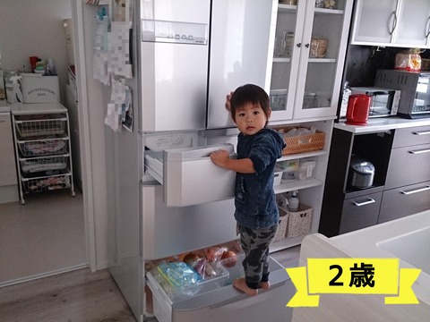 成長のモノサシは、冷蔵庫！