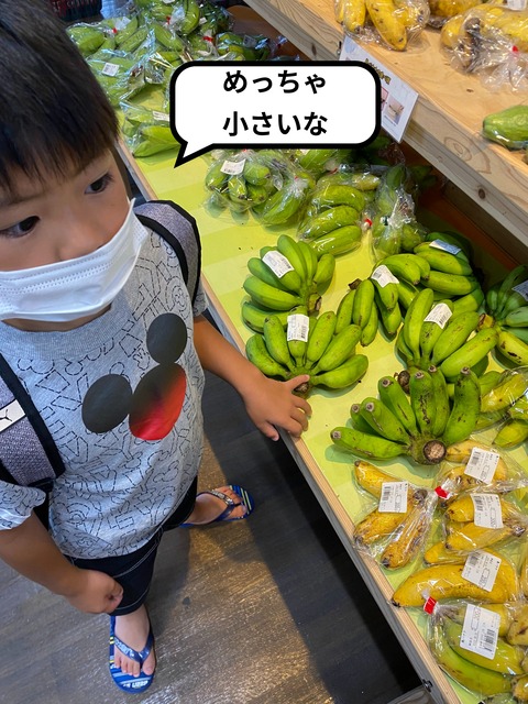 IMG_2556-fotor-2023091920518