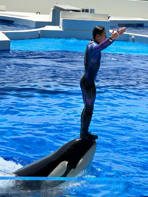 IMG_2105-fotor-20250729215517