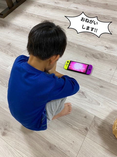 モンスターボールに祈りを。