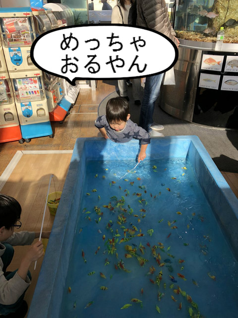 めっちゃ楽しい！　魚釣りゲーム！