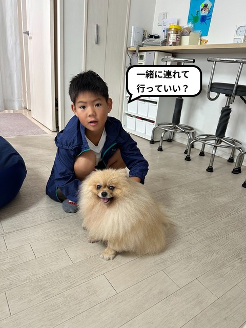 【４完】おばあちゃんといとこに会いに東京へ！