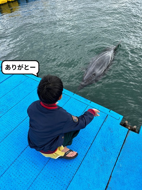 IMG_7382-fotor-20241014163316