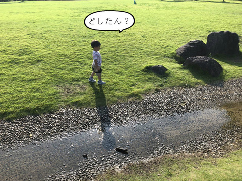 散髪に失敗したら・・・。　コレしかない！　①