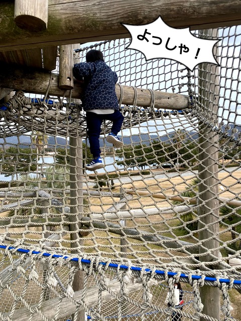 少し遠くの公園で新しい遊具！