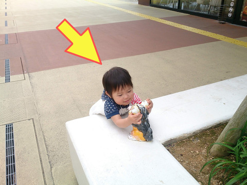 IMG_4846-fotor-20241231214758