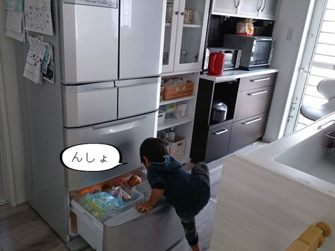 冷蔵庫を封鎖するいい方法って、ないやろか・・・。