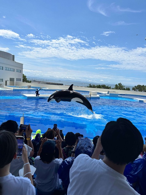 IMG_2093-fotor-20250729215436