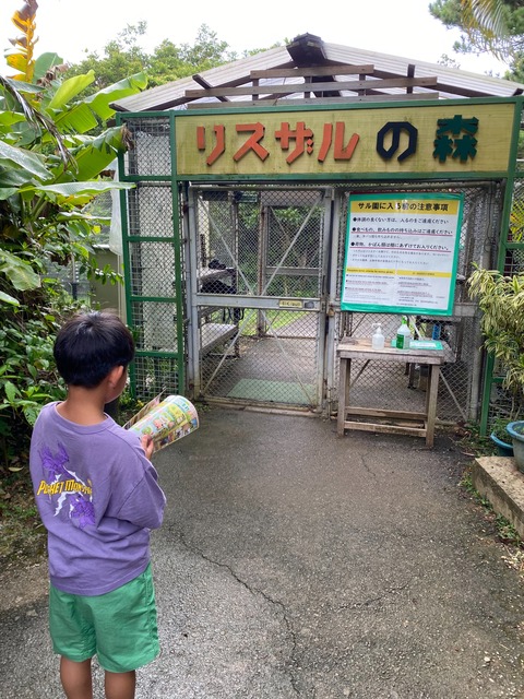 IMG_7139-fotor-20240813204233