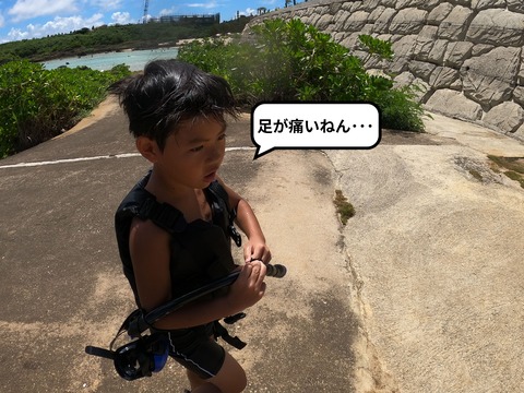 GOPR0360-fotor-20230911152927