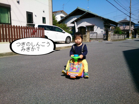 暖かくて、晴の季節になってきたな～