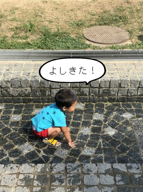 意外と子供連れにオススメ！　淡路島へ　⑦ニジゲンノモリ篇　Ⅱ　完