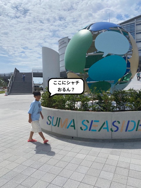【１】待ちに待った水族館オープン！ シャチに会いに！