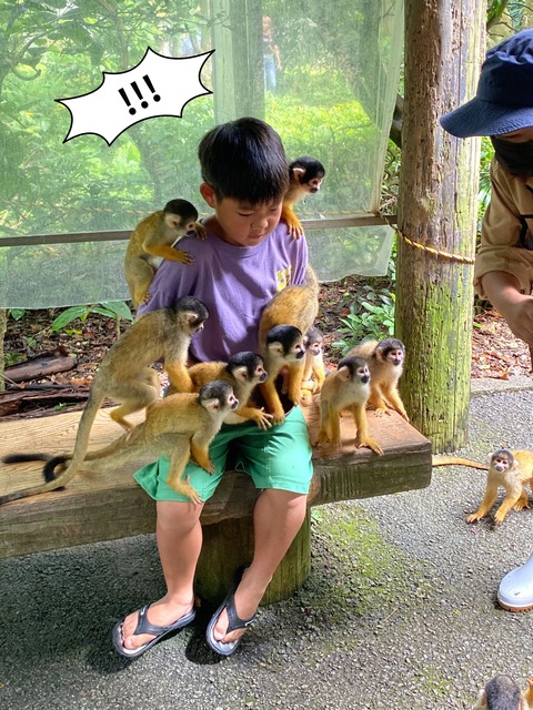 IMG_7149-fotor-20240813204849