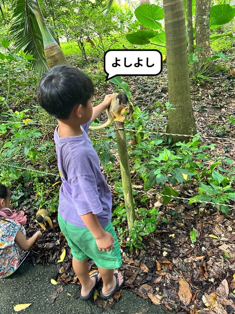 IMG_5476-fotor-20240813204731