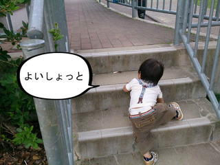 危険！段差は慎重にのぼろー！