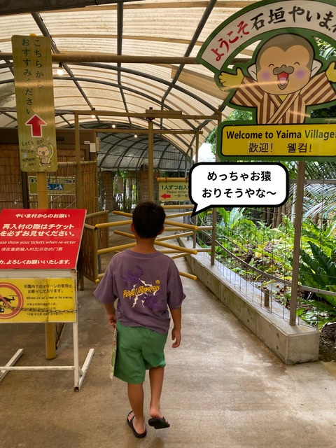 IMG_7135-fotor-20240813204353