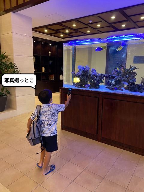 IMG_2385-fotor-2023091021267