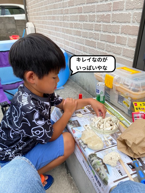 IMG_2638-fotor-2023092475221