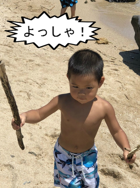 今年も海を先取り！　でも、去年とはちょっと様子が違う。　②完