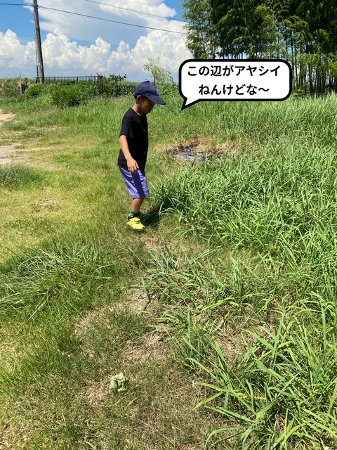 IMG_6279-fotor-2024053122211