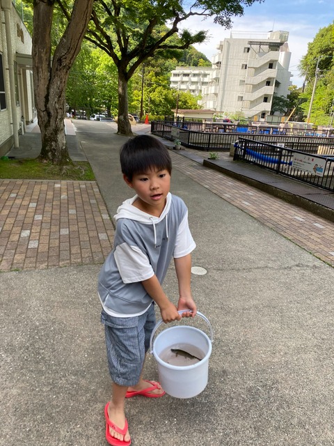 IMG_4454-fotor-20250601191414