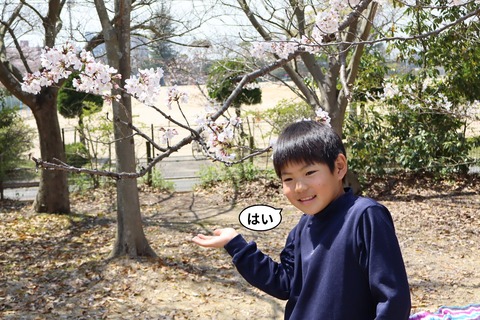 IMG_3117-fotor-20250328221127