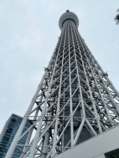 IMG_6460-fotor-20240927214130