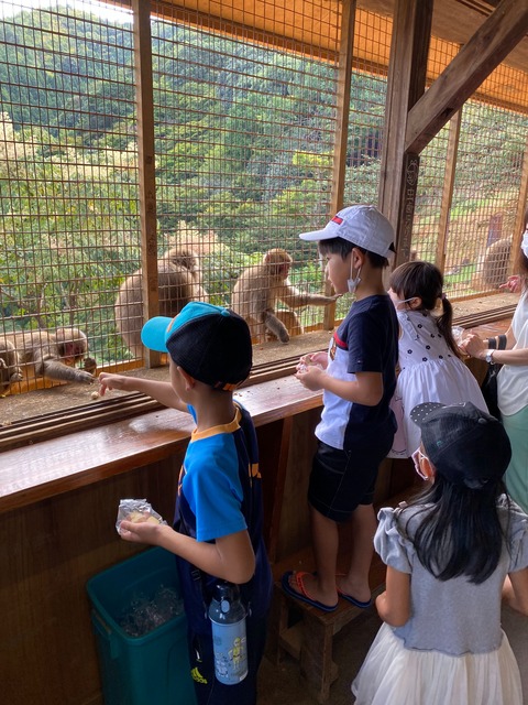 IMG_3134-fotor-20231101203228