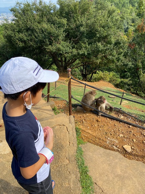 IMG_3123-fotor-20231101202523