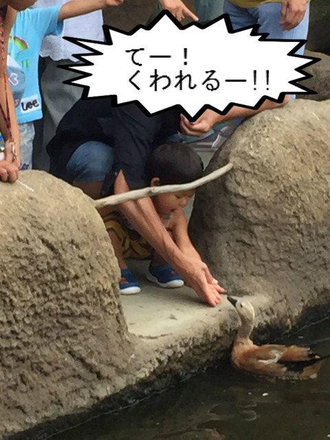 雨でも遊べる、神戸どうぶつ王国でも行ってみよか～　②完