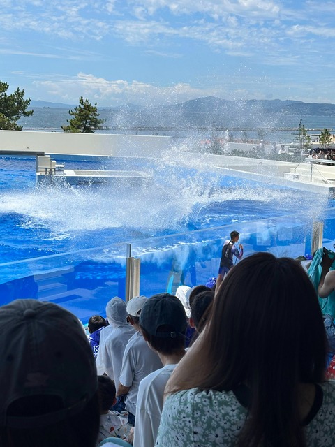 IMG_2113-fotor-20250729215255