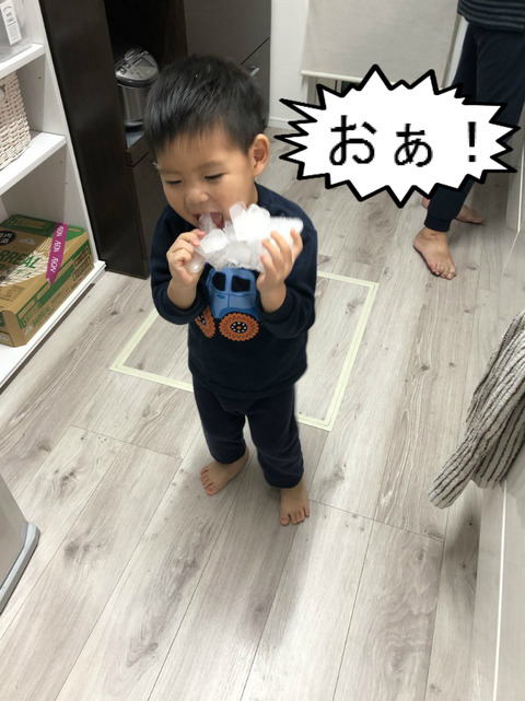 冷凍庫のアレも、はっちゃんにとっては遊び道具！
