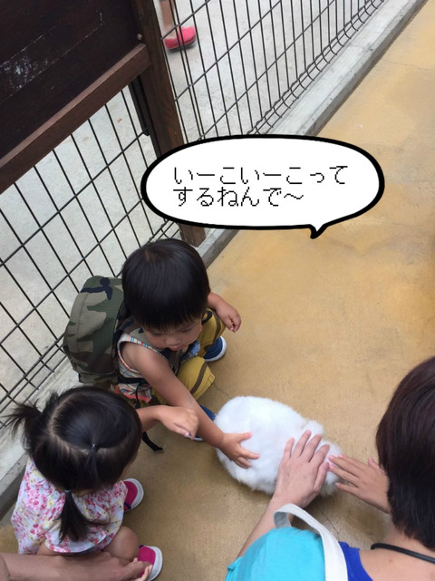 BlogPaint