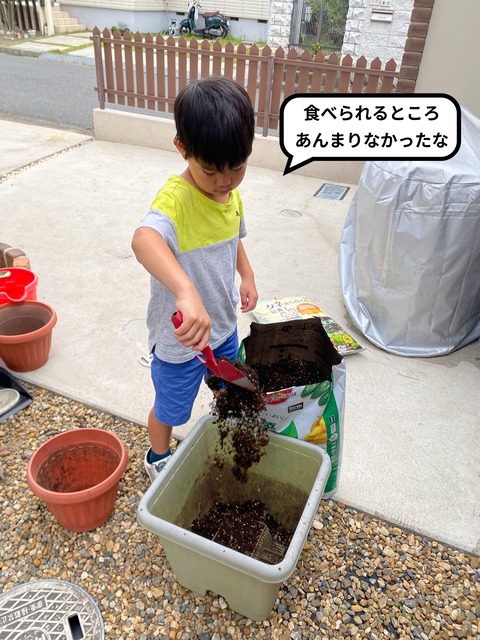 美味しく実るか･･･。 今年は枝豆！