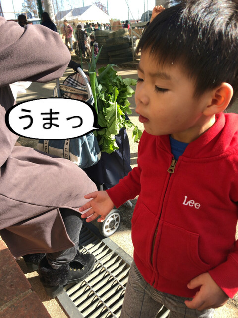 BlogPaint