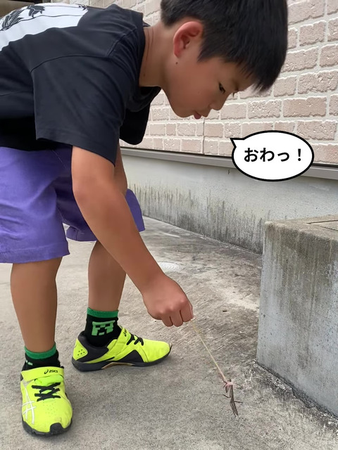 IMG_6302 - frame at 0m18s-fotor-2024060292012