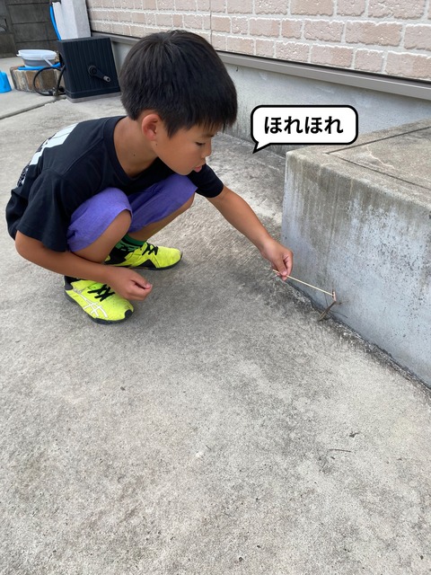 IMG_6301-fotor-2024060292635