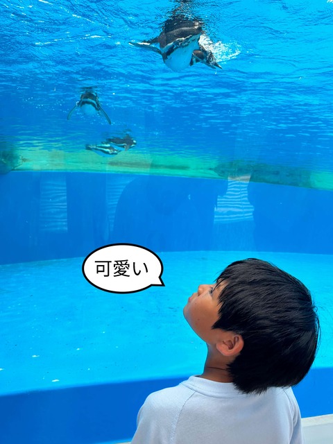 IMG_2150-fotor-2025080215840