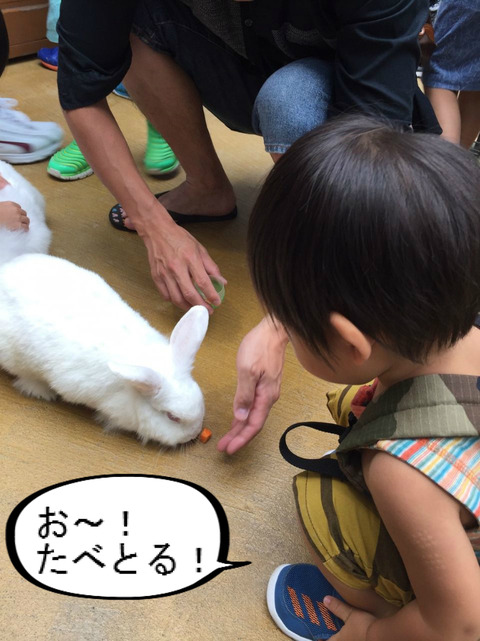 BlogPaint