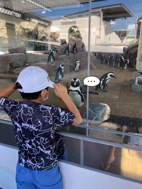 IMG_3230-fotor-20231105152440