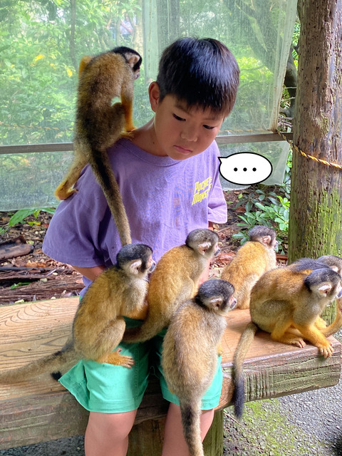 IMG_7148-fotor-20240813203852