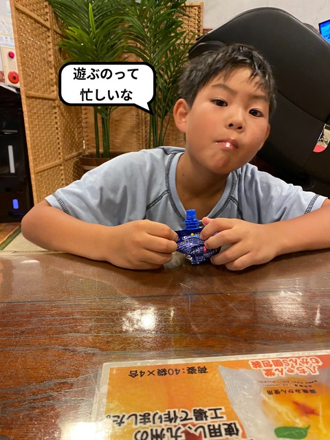 暑中見舞いに書く夏休みのハイライトは･･･。