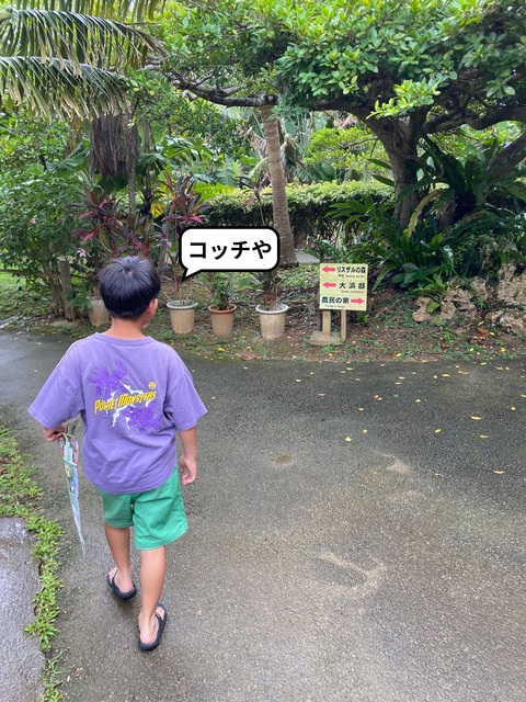 IMG_7138-fotor-20240813204638