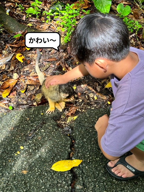 IMG_5475-fotor-20240813204444