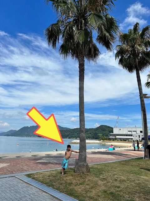 IMG_4757-fotor-2024060812329