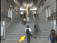 677026m-fotor-20240926144137